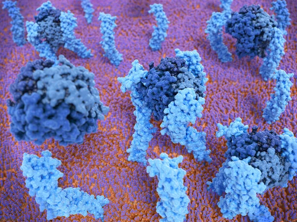 Мономерные Рецепторы Фактора Некроза Опухоли Светло Голубые Активируются После Связывания — стоковое фото