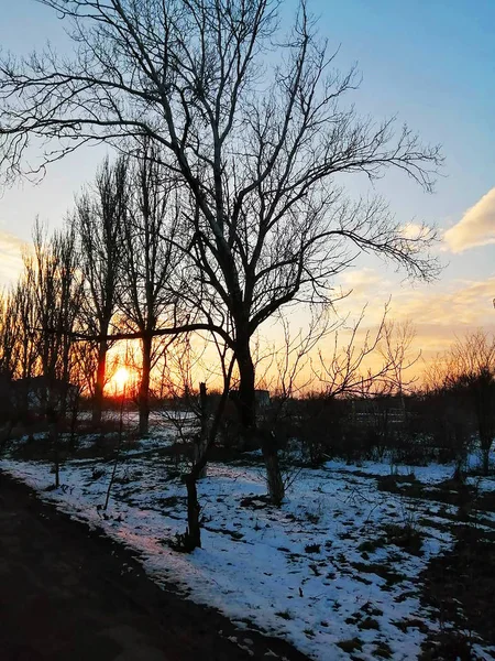 Nascer do sol. Paisagem rural relaxante ao pôr do sol com um sol laranja, atrás da silhueta de uma casa e árvores nuas — Fotografia de Stock