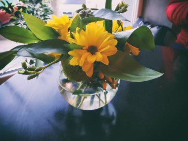 Küçük bir pot çiçeği bir tabloda bir kafede dekor olarak çiçeklenir.