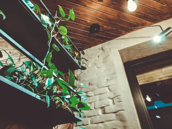 Loft Interior for cafe. Wooden decor, brick walls.