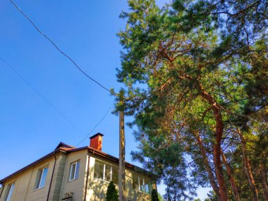 Bahar akşamı şehirde orman yakınında büyük ev.