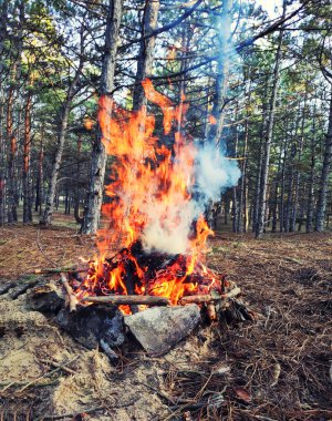 Yakacak odun. Doğada ateşte şenlik ateşi. Ateşin alevi. Ormanlar insanlık yüzünden yanar.
