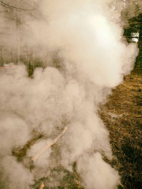Yakacak odun. Doğada ateşte şenlik ateşi. Ateşin alevi. Ormanlar insanlık yüzünden yanar.