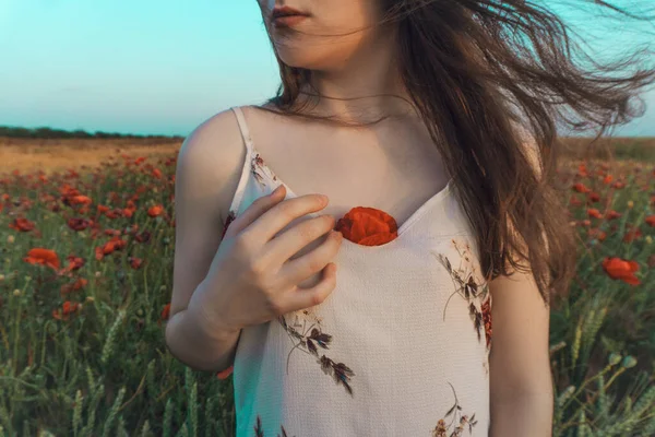 Kızın Göğsünde Gelincik Dalı Var Haşhaş Tarlasında Bir Kız — Stok fotoğraf