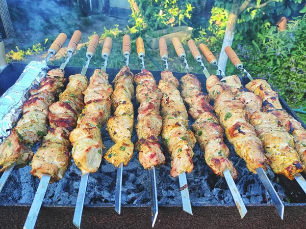 Embutidos Parrilla Preparados Cerca Carne Frita Carne Parrilla Pinchos — Foto de Stock