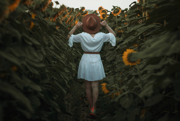 Portrait of a beautiful girl in a field of sunflowers. Warm summer shot of a girl in the field