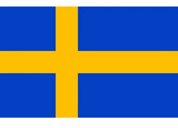Sweden Flag Vector Illustration — Stock Vector