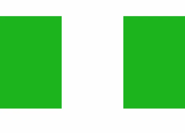 Nigeria Flagga Vektor Illustration — Stock vektor