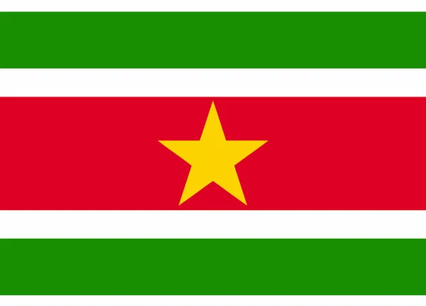 Surinams Flagga Vektor Illustration — Stock vektor