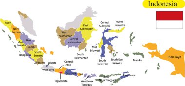 Endonezya Haritası vektör çizim