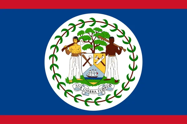 Drapeau Belize Vecteur Ligne Qualité — Image vectorielle