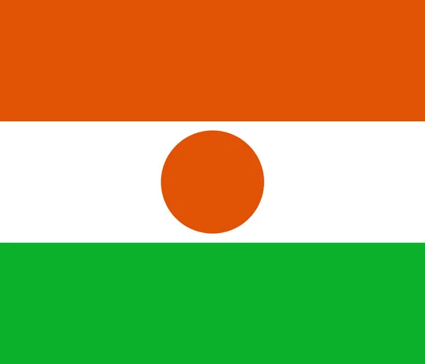 Vlag Van Niger Vector Kwaliteit Lijnkleur — Stockvector