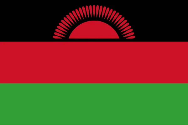 Malawi Flagga Vektor Kvalitet Linjefärg — Stock vektor