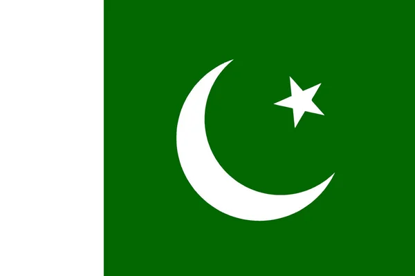 Vlag Van Pakistan Vector Kwaliteit Lijnkleur — Stockvector