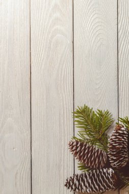 Çam dalları ve koniler, üstten görünüm, boşaltmak ile ahşap Noel arka plan beyaz.