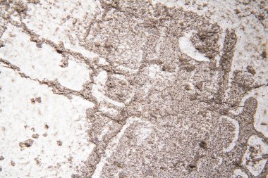 Ayak izleriyle birlikte asfalt beyaz çizgi dokusu. Üst Manzara. Stok fotoğrafçılığı.