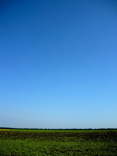 Grüne Wiese Und Klarer Himmel — Stockfoto