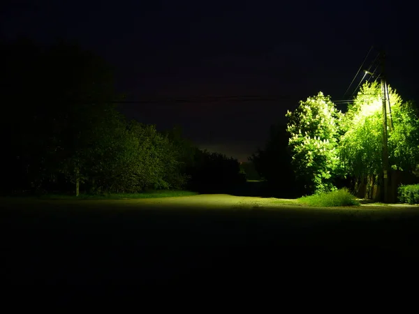 Yalnız bir fener ışığında
