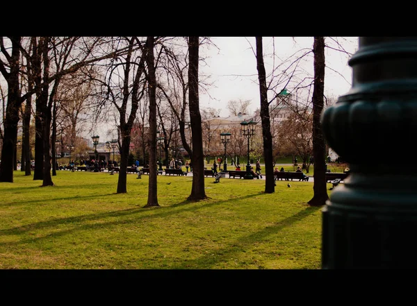 Parkta çim görünümünü