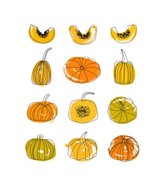 Beyaz arka plan, vektör, illüstrasyon izole çizilmiş kabaklar ile ayarlayın