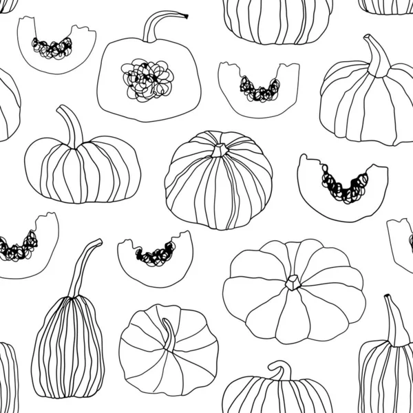 Set Drawn Pumpkins Isolated White Background Vector Illustration — Stock Vector