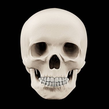  renkli insan kafatası, dekorasyon - illüstrasyon