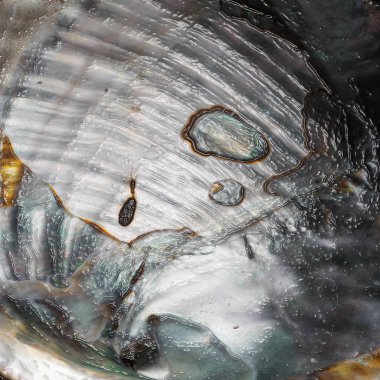 Mineral, akik ile nacre-arka plan