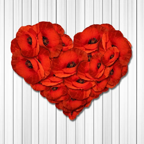 Červené Máky Vytvářející Srdeční Znamení — Stock fotografie