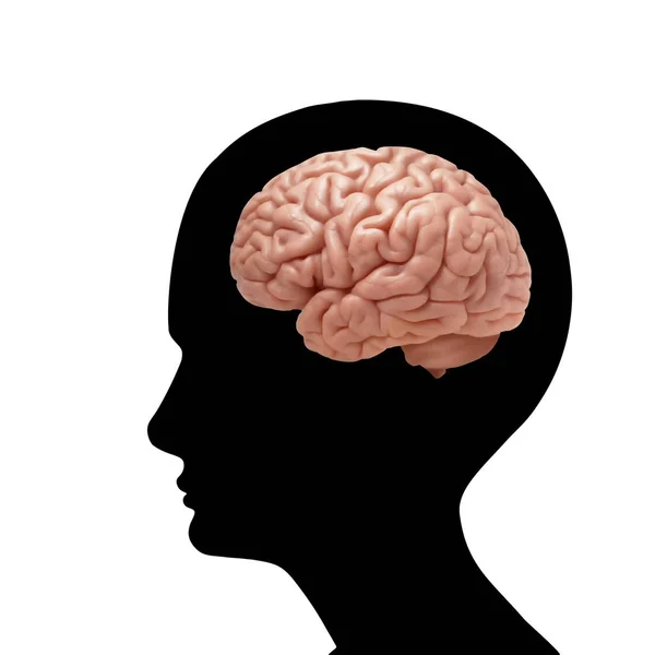 人間の脳の背景 イラスト — ストック写真