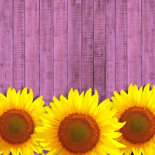 Żółte Słoneczniki Podłoże Drewniane Tekstura — Zdjęcie stockowe