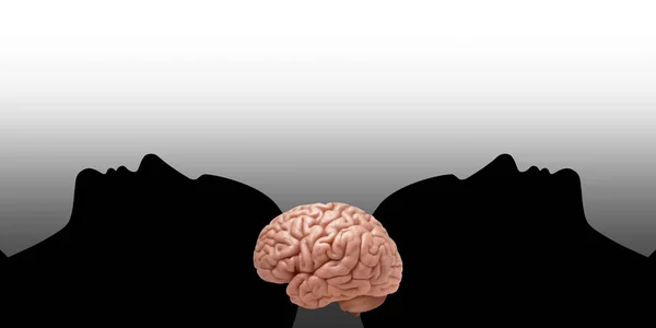 Menschliche Köpfe Mit Gehirn Und Weißem Hintergrund — Stockfoto