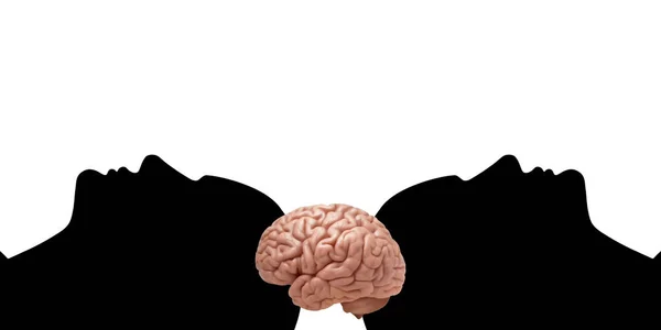 Cabezas Humanas Con Cerebro Fondo Blanco — Foto de Stock