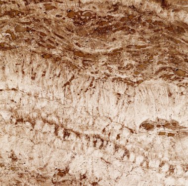 Güzel renkli arka plan. Soyut doku. 