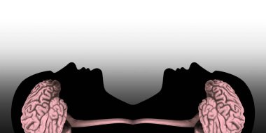 beyin ve beyaz arka plan ile insan kafaları