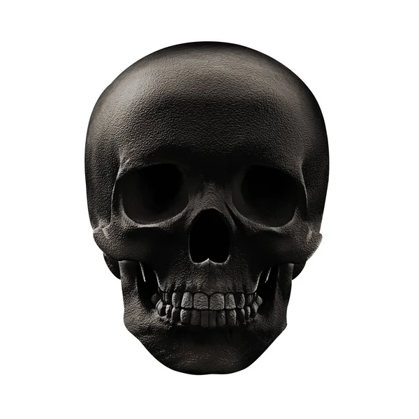 色の人間の頭蓋骨は イラスト — ストック写真