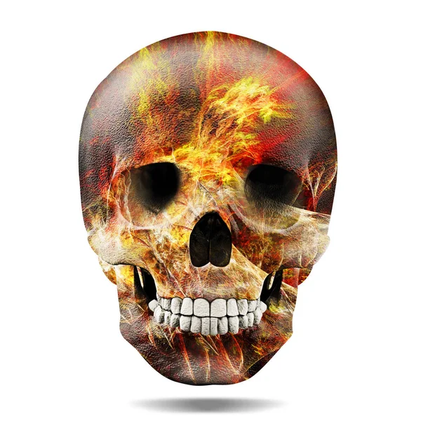 Colored Human Skull Decoration Illustration — Stock Photo, Image
