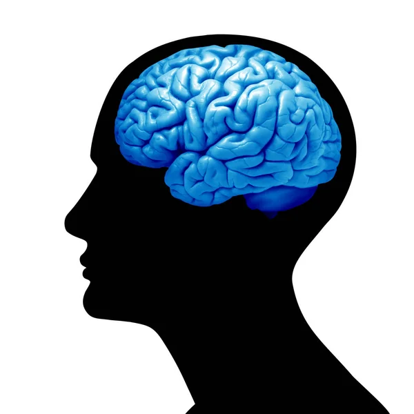 Lidský Mozek Pozadí Ilustrace — Stock fotografie