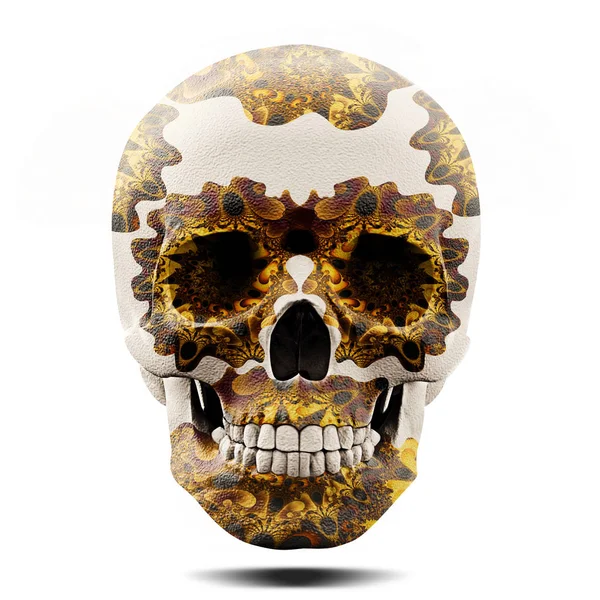 Crânio Humano Colorido Decoração Ilustração — Fotografia de Stock