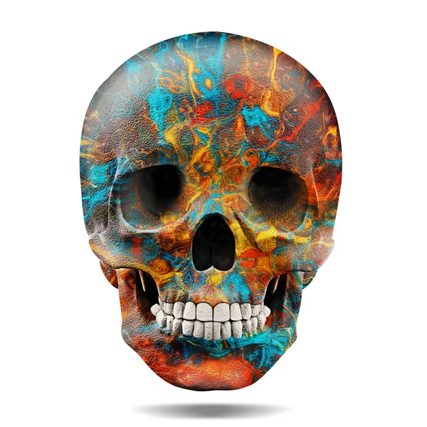 色の人間の頭蓋骨は イラスト — ストック写真