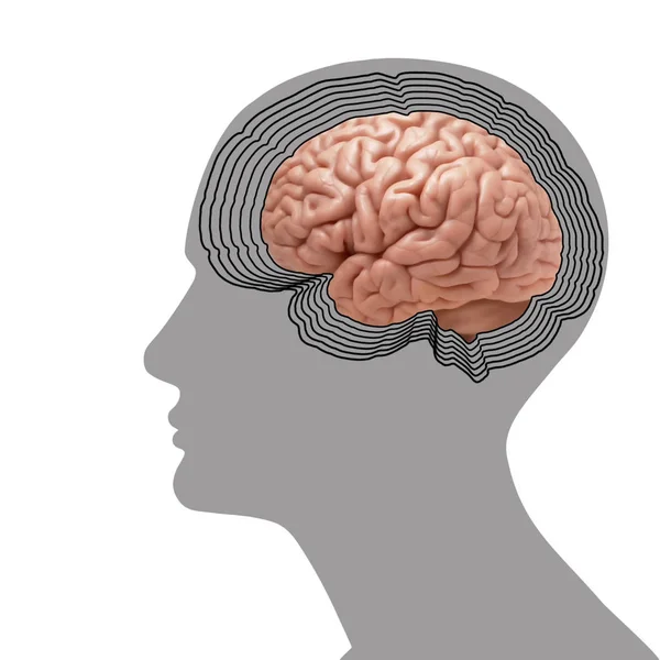 Фон Людського Мозку Ілюстрація — стокове фото