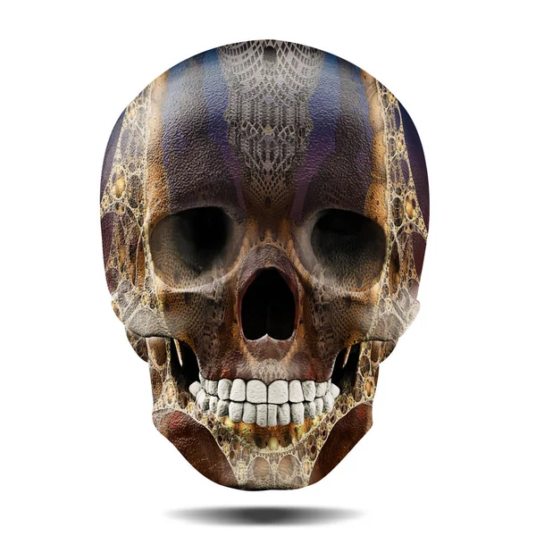 Renkli Insan Kafatası Dekorasyon Illüstrasyon — Stok fotoğraf