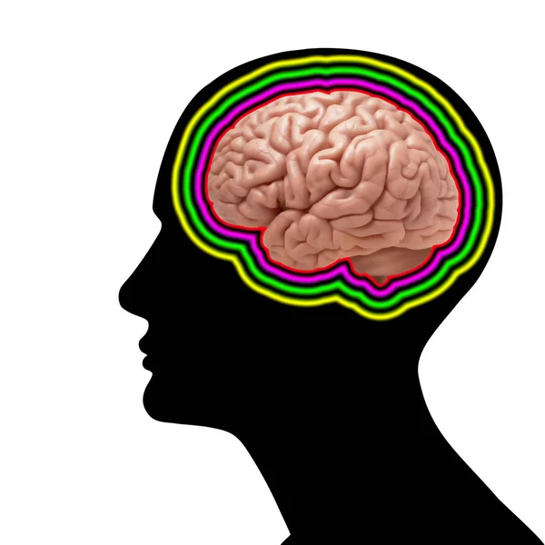Фон Людського Мозку Ілюстрація — стокове фото