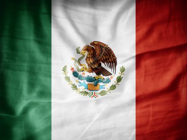 Meksika bayrağı ile kopya alanı metin - 3d çizim için    