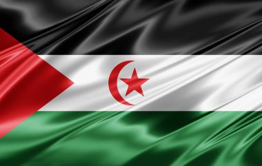 Metin - 3d illüstrasyon kopya alanı olan Sahra Arap Demokratik Cumhuriyeti bayrağı    