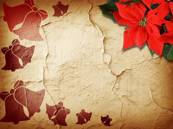 Kerstmis Poinsettia Klokken Achtergrond Textuur — Stockfoto