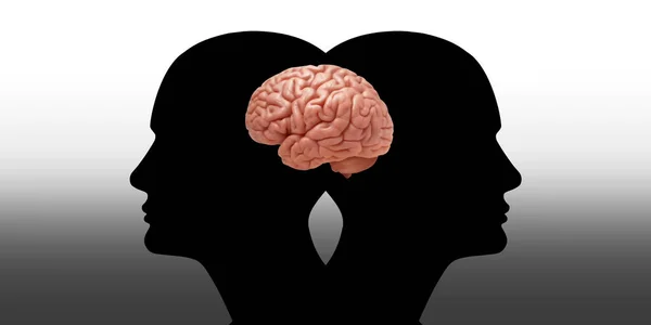 Mänskliga Huvuden Med Hjärna Och Vit Bakgrund — Stockfoto
