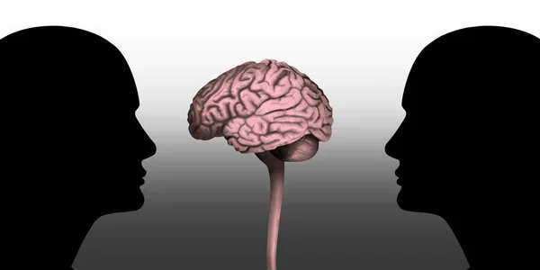 Ανθρώπινα Κεφάλια Εγκέφαλο Και Λευκό Φόντο — Φωτογραφία Αρχείου
