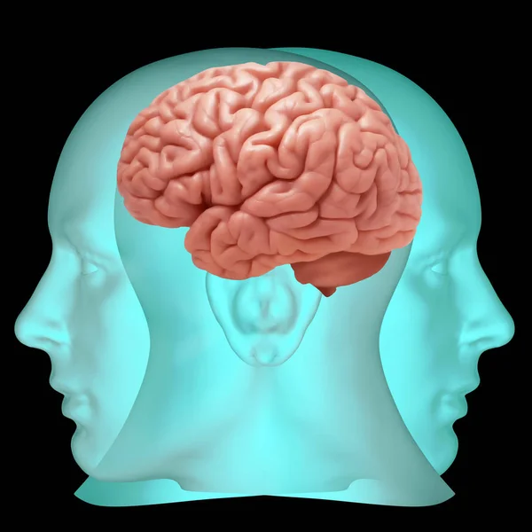 Fondo Del Cerebro Humano Ilustración — Foto de Stock