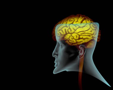  insan beyninin arka plan - 3d çizim