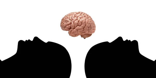 Cabezas Humanas Con Cerebro Fondo Blanco — Foto de Stock